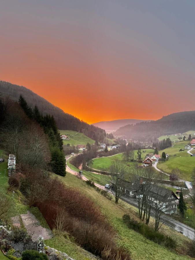 Altes Berghaus Lejlighed Obertal  Eksteriør billede