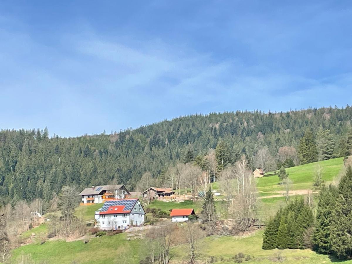 Altes Berghaus Lejlighed Obertal  Eksteriør billede