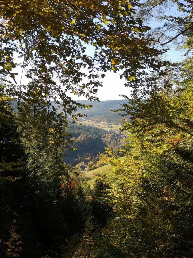 Altes Berghaus Lejlighed Obertal  Eksteriør billede
