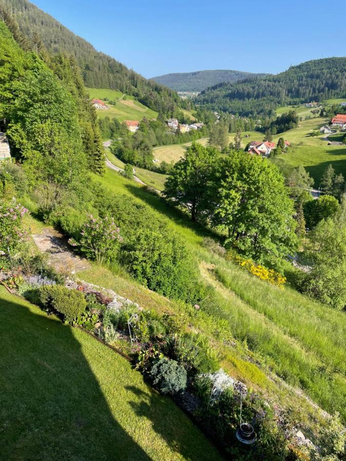 Altes Berghaus Lejlighed Obertal  Eksteriør billede