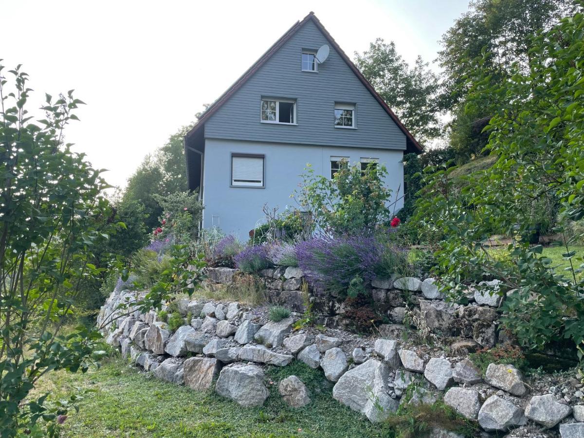 Altes Berghaus Lejlighed Obertal  Eksteriør billede