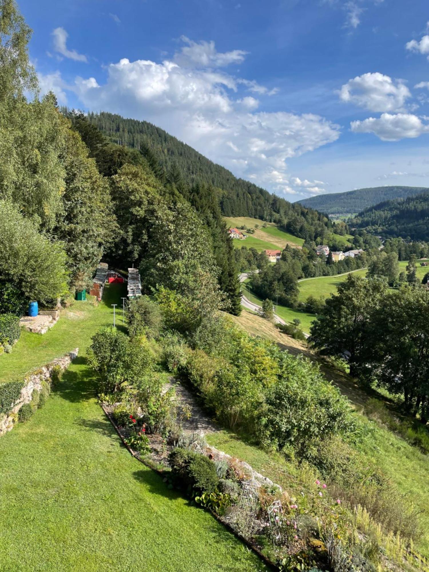 Altes Berghaus Lejlighed Obertal  Eksteriør billede